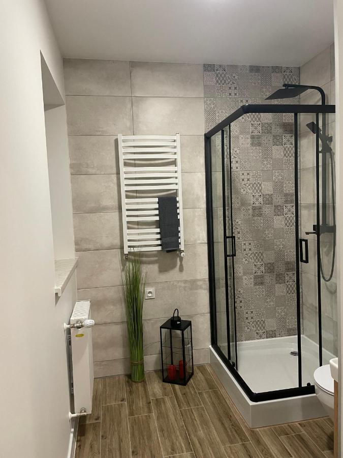 Apartamenty Sudety 比斯 外观 照片