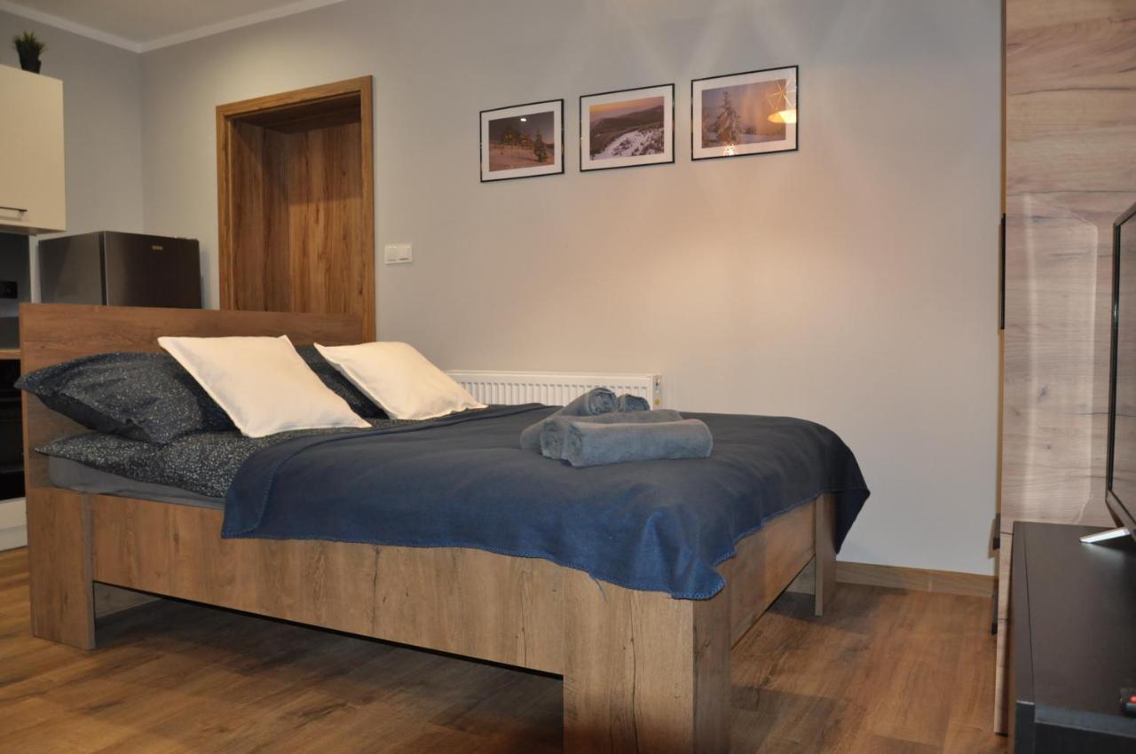 Apartamenty Sudety 比斯 外观 照片