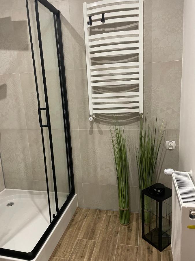 Apartamenty Sudety 比斯 外观 照片
